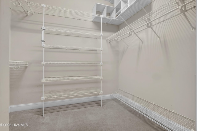 walk in closet with carpet