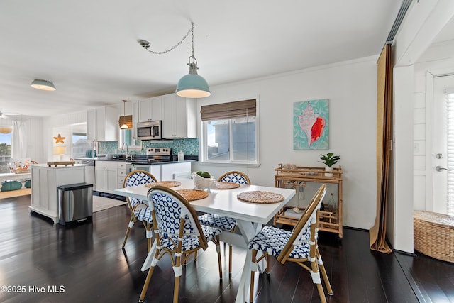 dining area featuring dark wood finished floors and a wealth of natural light