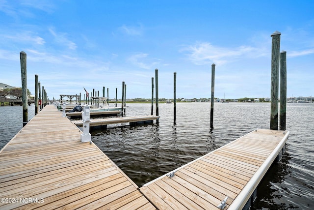 dock area with a water view