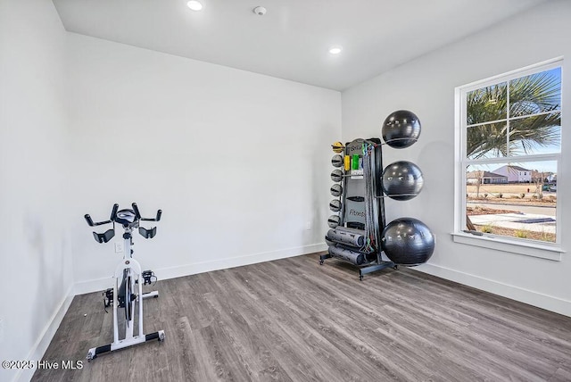 workout area featuring a healthy amount of sunlight, baseboards, and wood finished floors