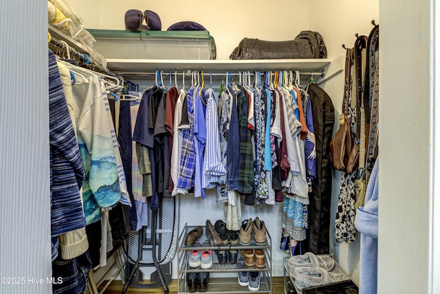 view of spacious closet