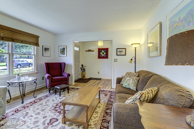 living area featuring baseboards and wood finished floors