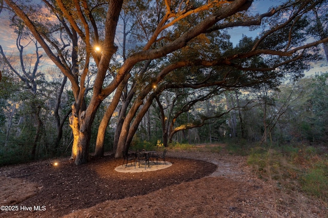 view of yard featuring a forest view