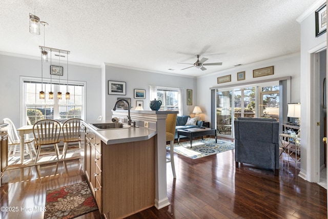 kitchen with a sink, open floor plan, ornamental molding, dark wood-style floors, and a center island with sink