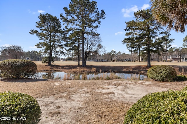 view of water feature