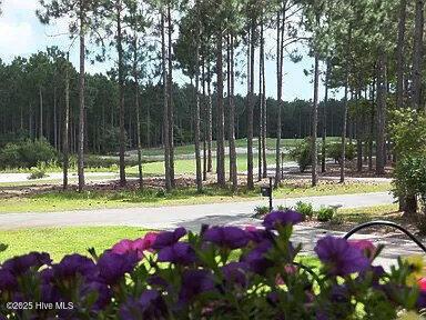 view of property's community featuring a view of trees