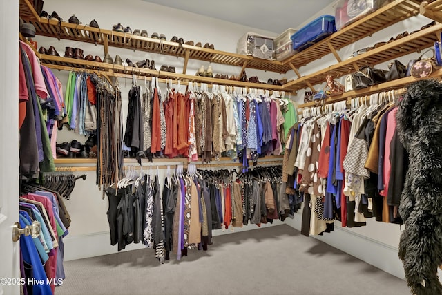 walk in closet with carpet