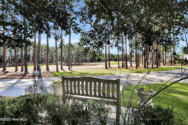 view of community featuring view of scattered trees and a yard