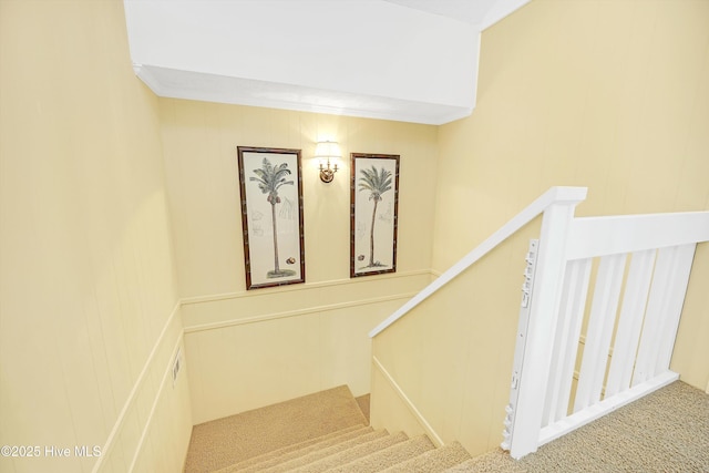 stairs featuring carpet floors