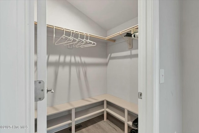 walk in closet with lofted ceiling and wood finished floors