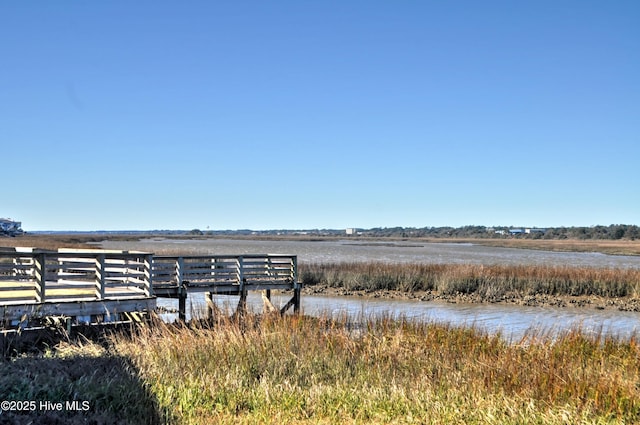 view of yard with a water view and a rural view