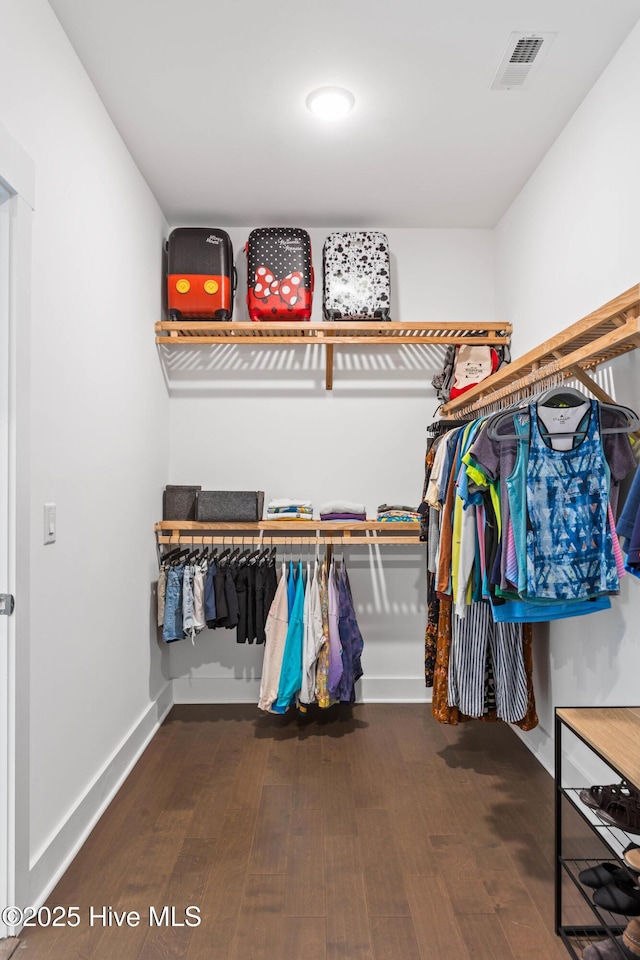 935 Baldwin Park Dr, Wilmington, NC 28411 - spacious closet with wood finished floors