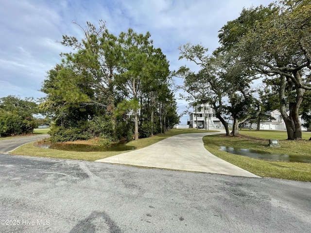 view of road featuring concrete driveway