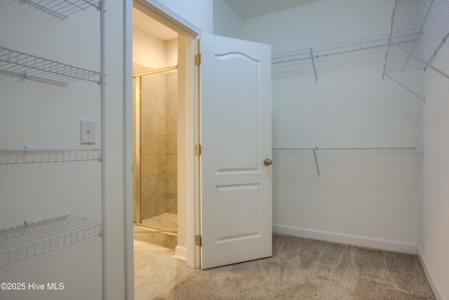 walk in closet featuring light colored carpet