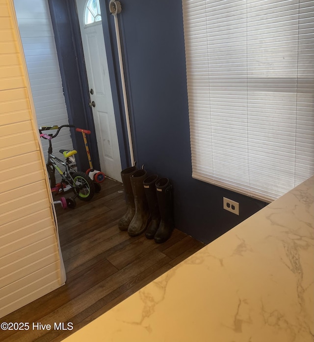 hallway featuring dark wood-style floors