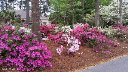 155 Abbington Pl SW, Ocean Isle Beach, NC 28469 - view of yard
