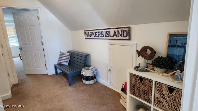 living area featuring carpet floors, baseboards, and lofted ceiling