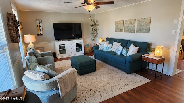 living room featuring wood finished floors, ornamental molding, a textured ceiling, and wainscoting