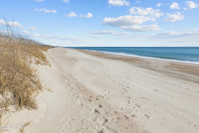 water view featuring a beach view