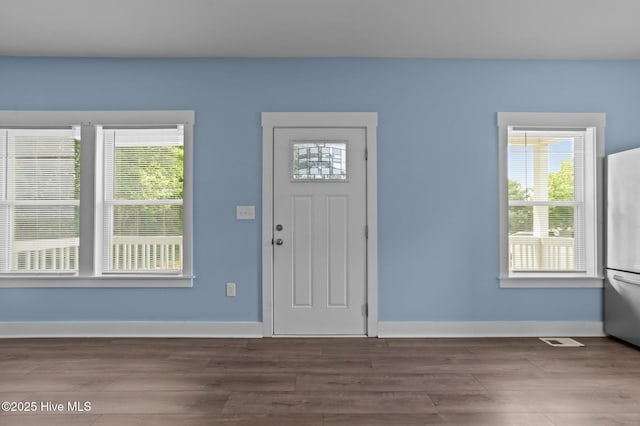 105 Bryan Pl, Washington, NC 27889 - foyer with baseboards, wood finished floors, and healthy amount of natural light