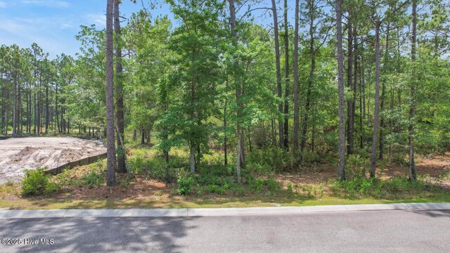 1492 St Lucia Dr SW Unit 28, Shallotte, NC 28470
