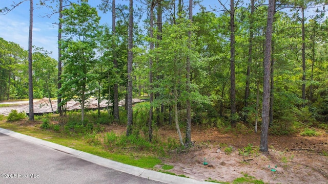 1492 St Lucia Dr SW Unit 28, Shallotte, NC 28470