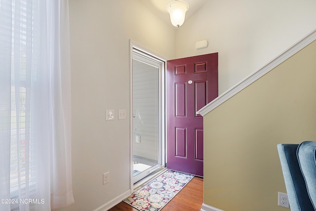 foyer entrance with a wealth of natural light, baseboards, and wood finished floors