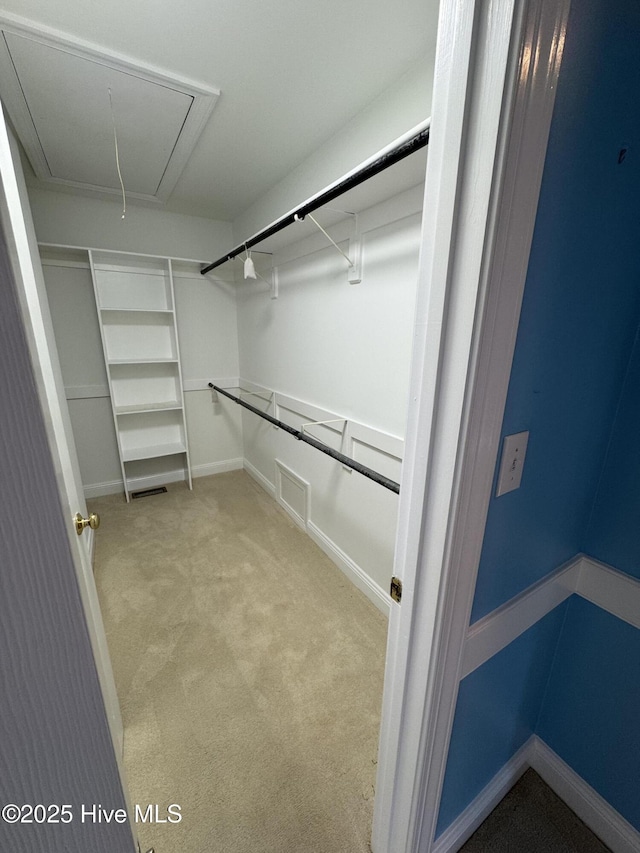 walk in closet with attic access and carpet flooring