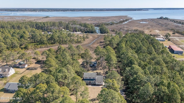 bird's eye view featuring a water view and a view of trees