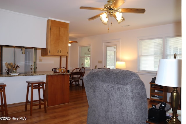 living area with ceiling fan and dark wood-type flooring