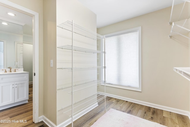 walk in closet with a sink and wood finished floors