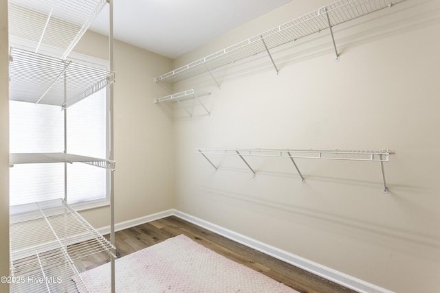 spacious closet featuring wood finished floors