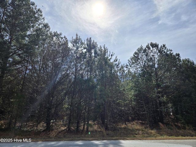 LOT2 Momeyer Way, Momeyer NC, 27856 land for sale