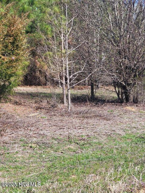 Listing photo 2 for LOT2 Momeyer Way, Momeyer NC 27856