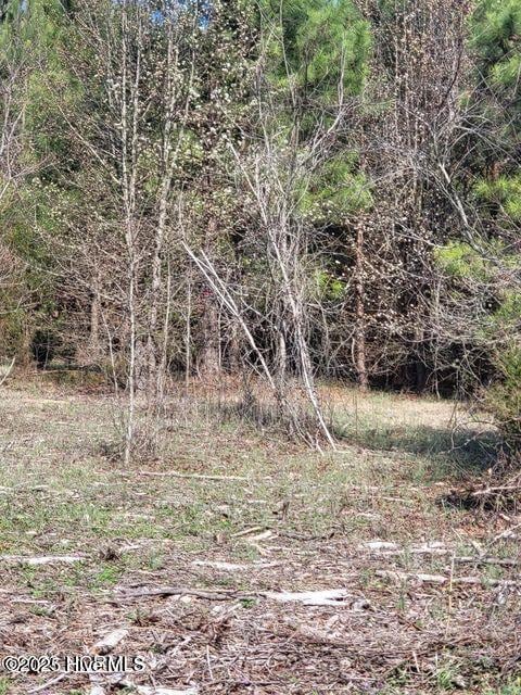 Listing photo 3 for LOT2 Momeyer Way, Momeyer NC 27856