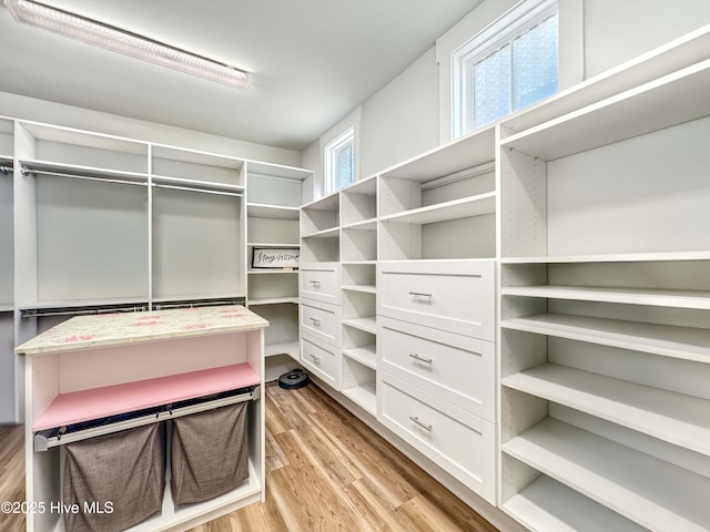 walk in closet featuring light wood-type flooring