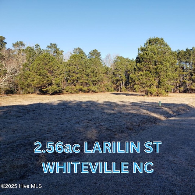 2.56AC Larilin St Unit 9-11, Whiteville NC, 28472 land for sale