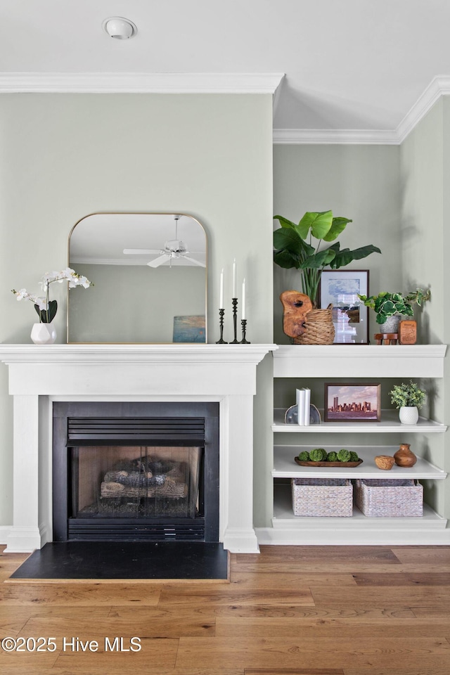 room details featuring a fireplace, ornamental molding, and wood finished floors