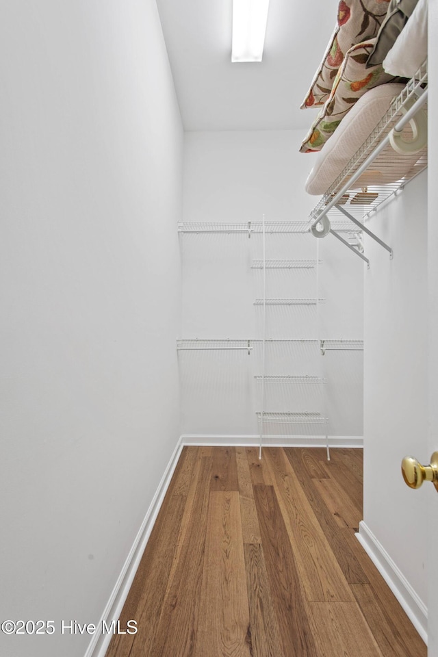 walk in closet featuring wood finished floors