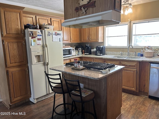 kitchen with dark wood finished floors, stainless steel appliances, a sink, a kitchen island, and under cabinet range hood