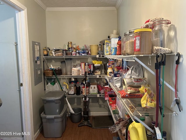 pantry with electric panel