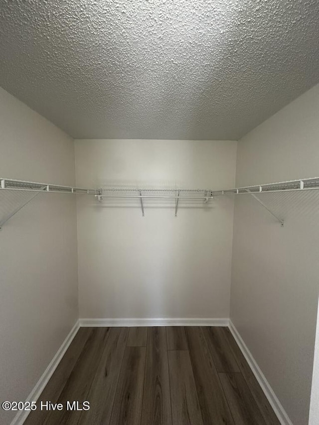 walk in closet featuring dark wood-style flooring