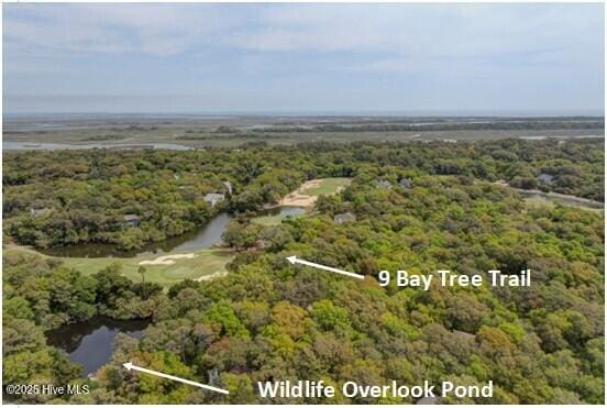 Listing photo 2 for 9 Bay Tree Trl, Bald Head Island NC 28461