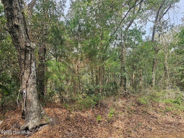 Listing photo 3 for 35 Dowitcher Trl Unit 774, Bald Head Island NC 28461