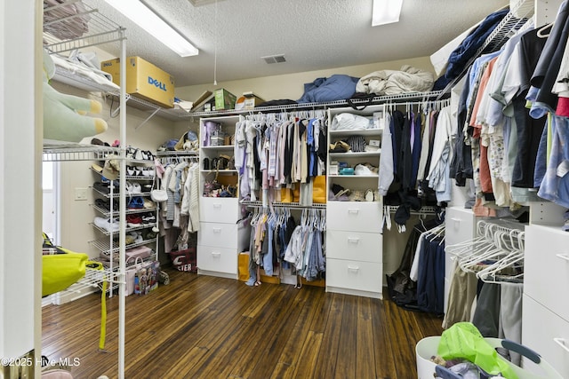 spacious closet featuring wood finished floors and visible vents