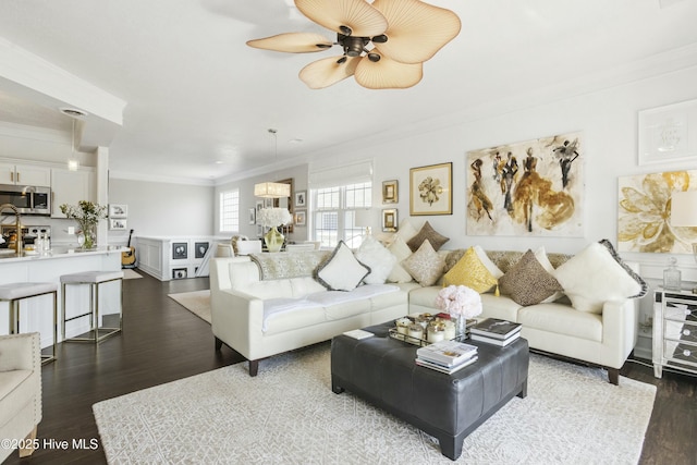 living room featuring dark wood-style floors, a ceiling fan, and crown molding