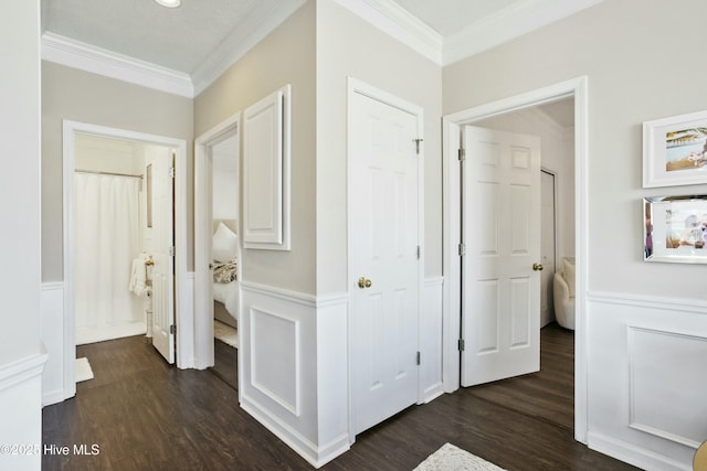 hallway featuring ornamental molding, wainscoting, and wood finished floors