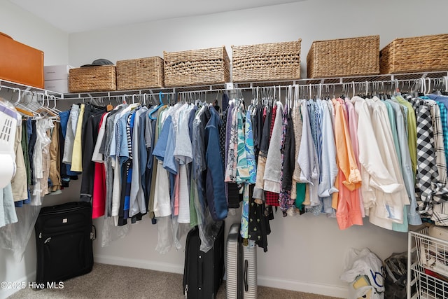 walk in closet featuring carpet