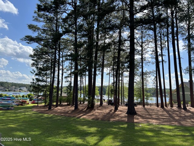 122 Smathers Dr, West End, NC 27376 - view of grassy yard with a water view