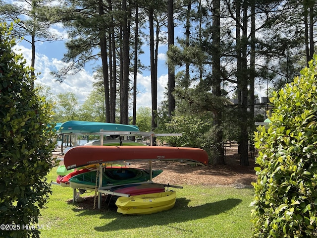 122 Smathers Dr, West End, NC 27376 - view of property's community featuring a yard